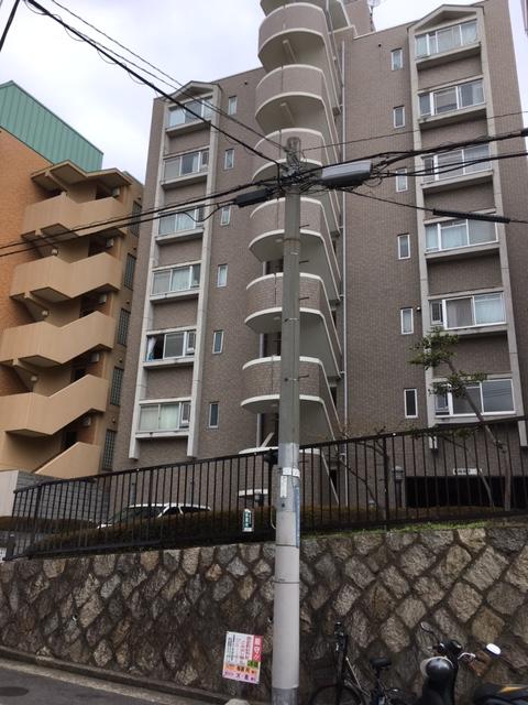 ステラ 花隈