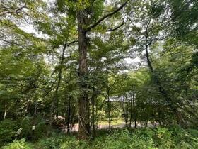 長野県北佐久郡軽井沢町大字長倉