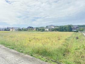 熊本県山鹿市杉