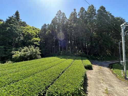 土地, 佐賀県 嬉野市
