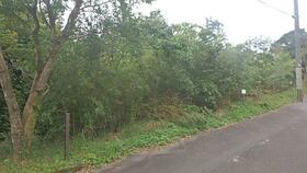 鹿児島県霧島市霧島大窪