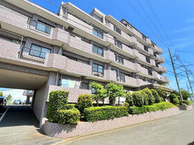 シーダム藤沢善行