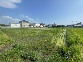 熊本県八代市郡築一番町