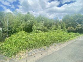 熊本県宇城市松橋町松橋