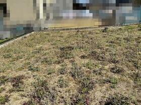 愛知県西尾市中畑町前山