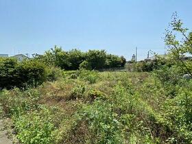 茨城県水戸市城東３丁目