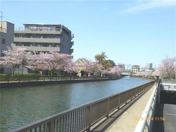 アベニュ－ 106｜東京都江戸川区船堀３丁目(賃貸アパート1R・1階・19.00㎡)の写真 その4