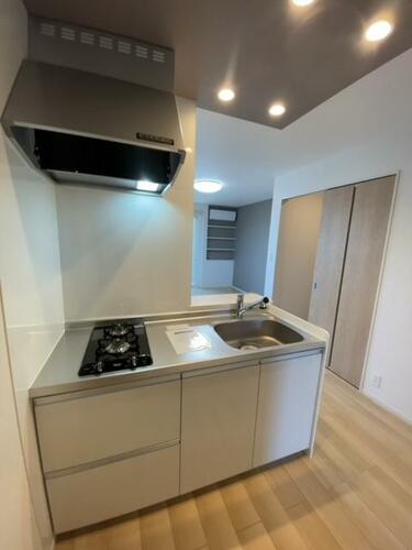 フラン_その他_1