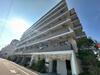 JPnoie亀戸 4階 築6年1ヶ月の賃貸物件