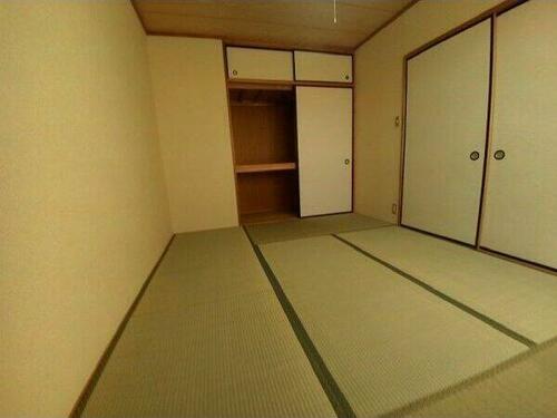 Surplus MAKI_内装_0