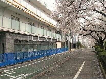 東京都目黒区平町２丁目(賃貸マンション1K・2階・25.18㎡)の写真 その15