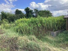 新潟県長岡市中西