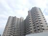サーパス中須賀 9階 築34年8ヶ月の賃貸物件