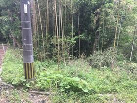 熊本県阿蘇郡南阿蘇村大字両併