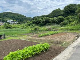 愛知県蒲郡市西浦町丸落