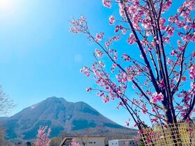 大分県由布市湯布院町塚原