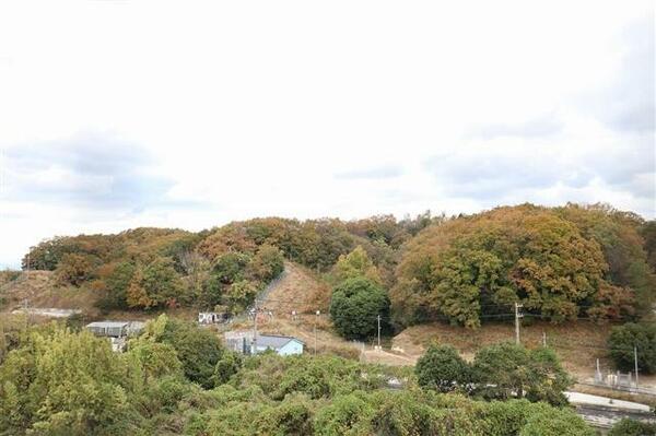 ラウレア旦野原Ⅲ 208｜大分県大分市大字旦野原(賃貸マンション1K・3階・17.50㎡)の写真 その12