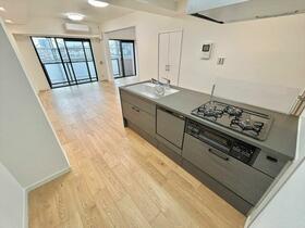 ナイスアーバン小田急相模原ＩＩ