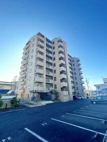 ピュアライフ新田