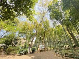 東京都目黒区碑文谷３丁目