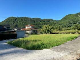 大分県日田市大山町西大山