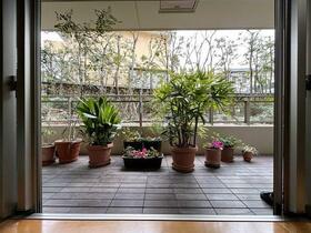 グランドメゾン住吉本町ネクス