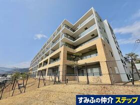 アデニウム真鶴