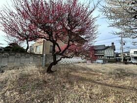 東京都練馬区東大泉３丁目