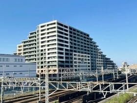 ルネ・キューヴィス