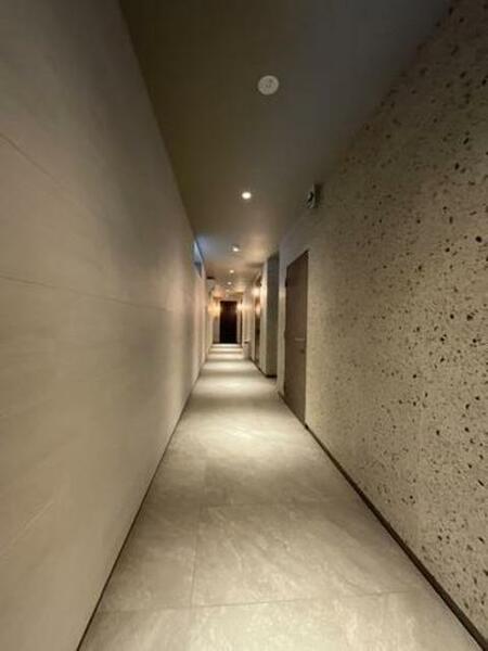 画像16:高級感のある屋内廊下です。
