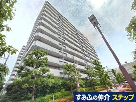 ウェルコートしぎの