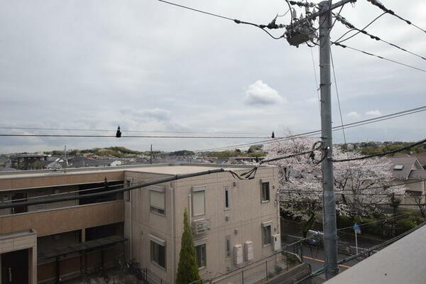 画像14:～桜がとってもきれい～