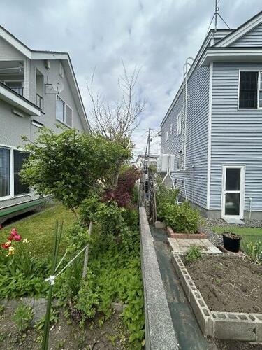 Image 15
