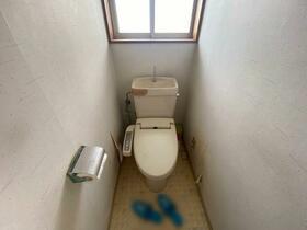 Image 66