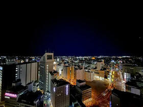 Ｄｓ　Ｔｏｗｅｒ