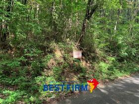 福島県安達郡大玉村大山字大皿久保