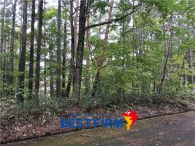 福島県耶麻郡猪苗代町大字蚕養字沼尻山甲