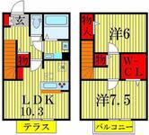 カトレアのイメージ