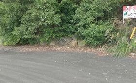 静岡県浜松市浜名区細江町気賀