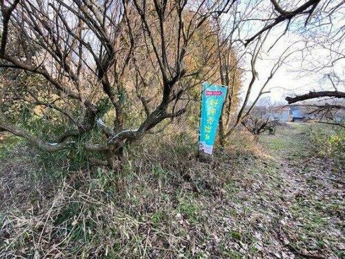 土地, 福島県 安達郡大玉村