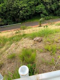 愛知県知多郡南知多町大字片名字田尻