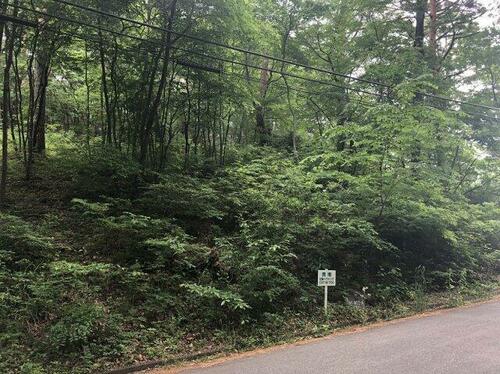 土地, 長野県 小諸市
