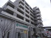 新潟市中央区出来島１丁目 7階建 築24年のイメージ