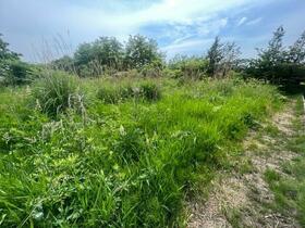 岩手県滝沢市鵜飼高柳
