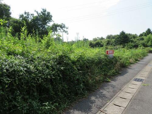 Land, Yokoshibahikari Town, Chiba