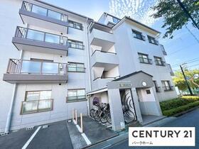 シャルム大路
