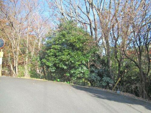 Land, Higashiizu Town, Shizuoka