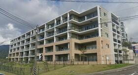 アデニウム真鶴