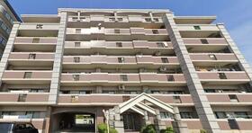 アムール和白５