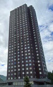 ヴィクトリア・タワー湯沢